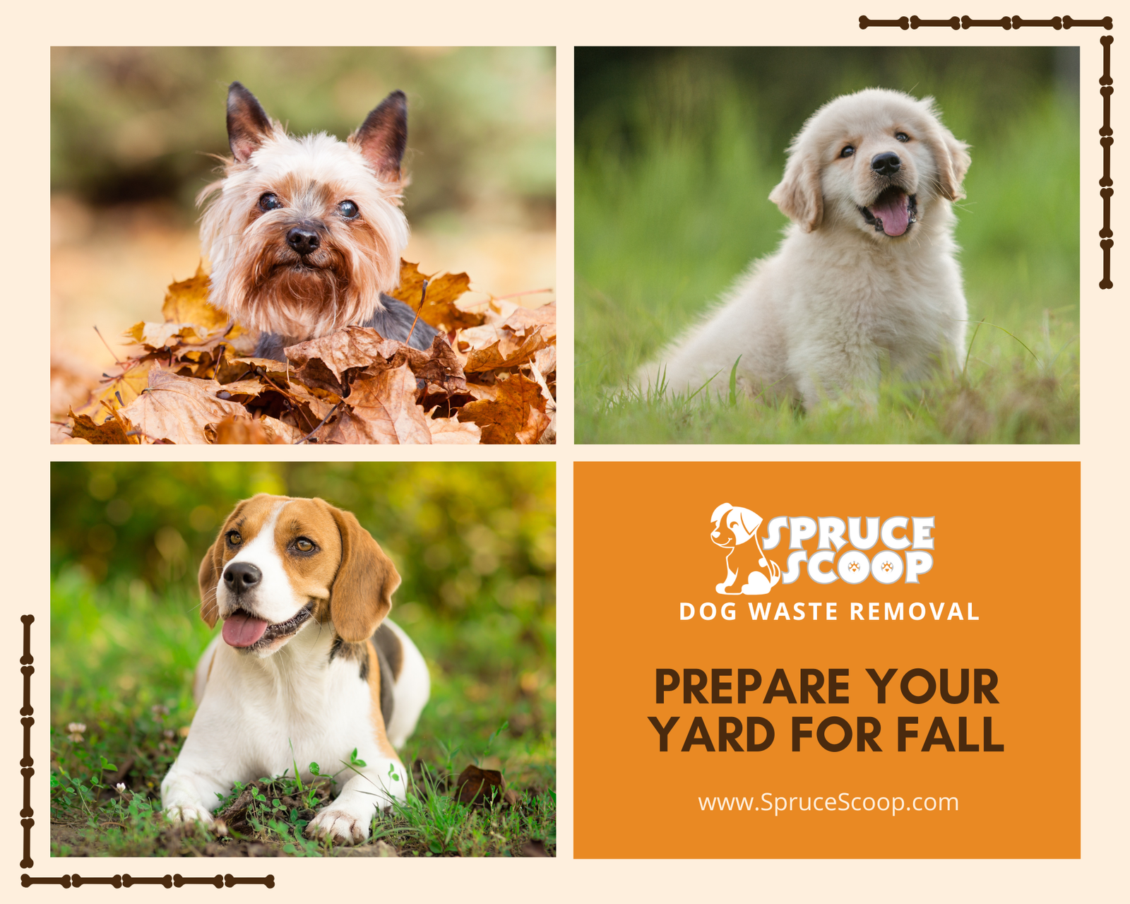 Before the Leaves Fall: Benefits of Dog Poop Removal Services for Fall Yard Prep